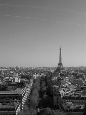PARIS CINZA 2