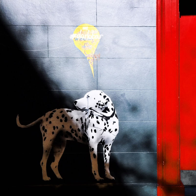 DALMATIAN WALL