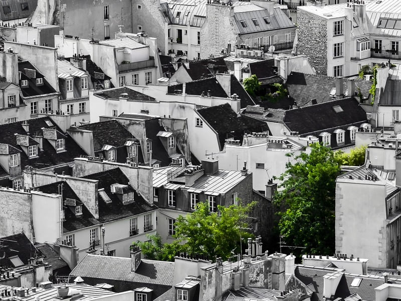 GREEN IN PARIS