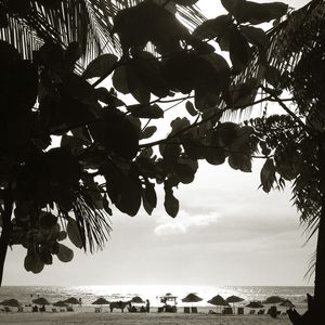 BEACH RIVER
