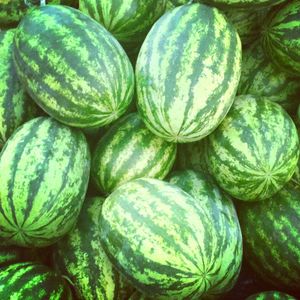 MELANCIAS