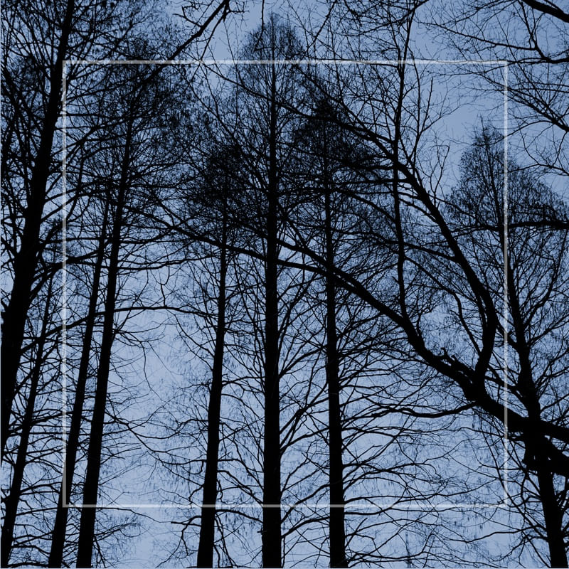 WINTER PATTERN 50X50