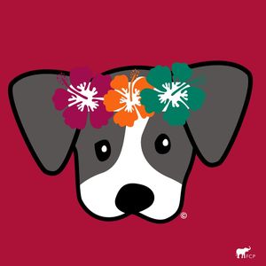 DOG HAVAI