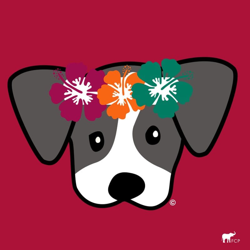 DOG HAVAI