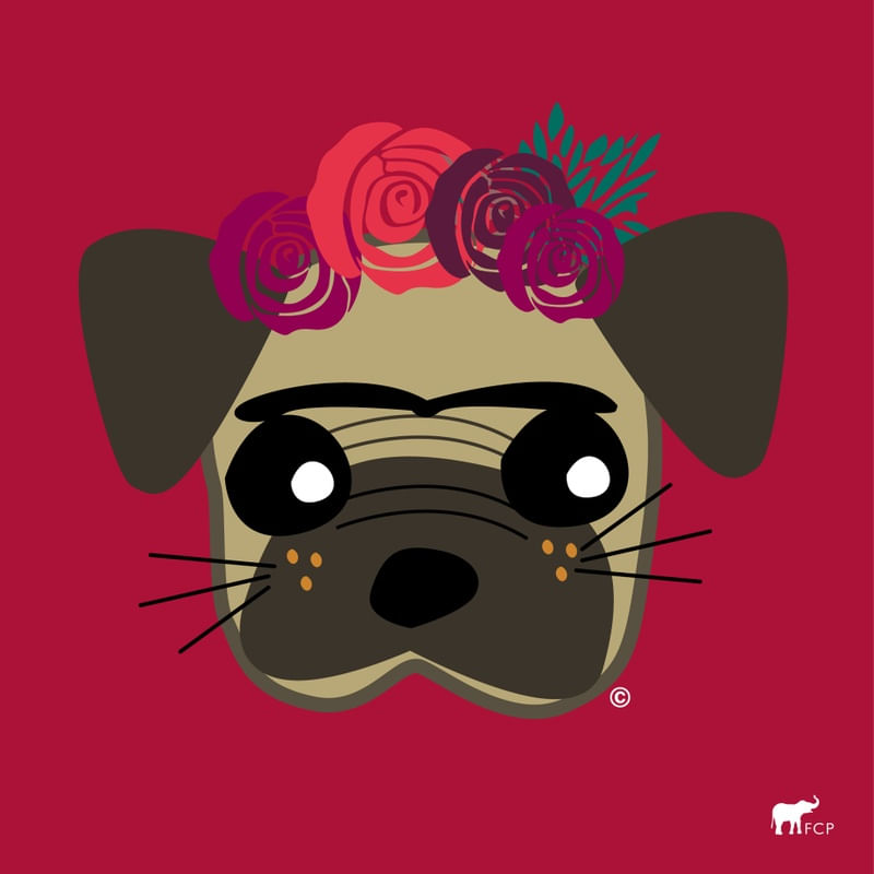 FRIDOG
