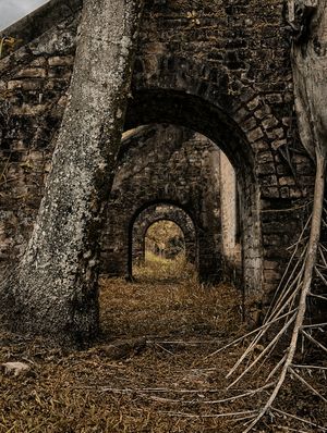 ARCOS SURREAIS