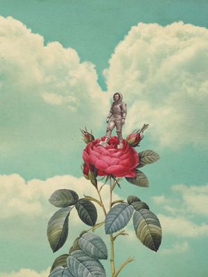 MOON ROSE