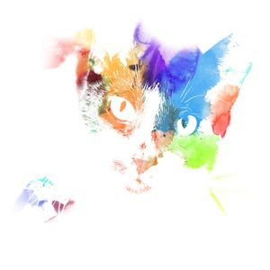 AQUARELA DE GATO