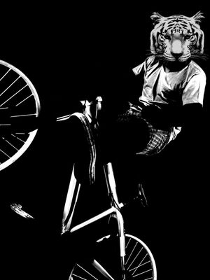 TIGER BIKE