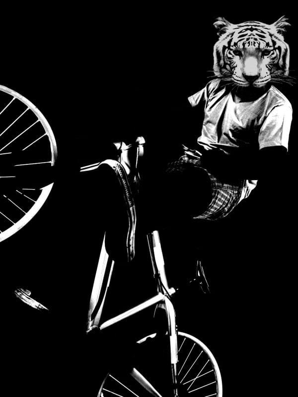 TIGER BIKE