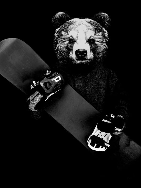 SNOWBOARD BEAR