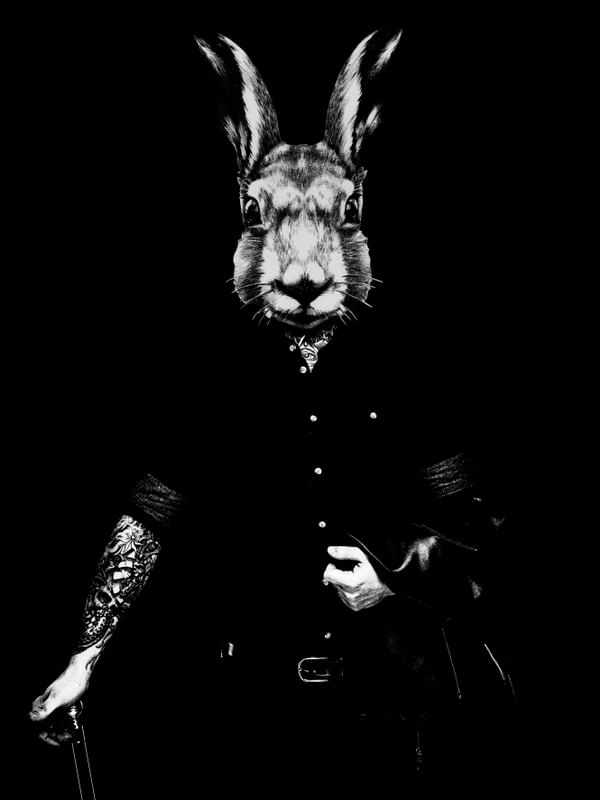 MAGIC RABBIT