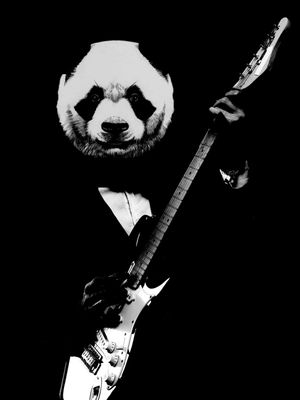 ROCK PANDA