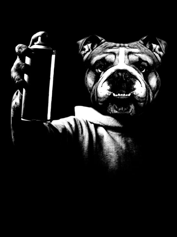BULLDOG GRAFFITTI
