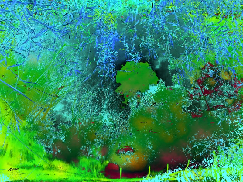 CELESTIAL ORGÂNICO