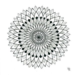 FLOR AMANDALAS