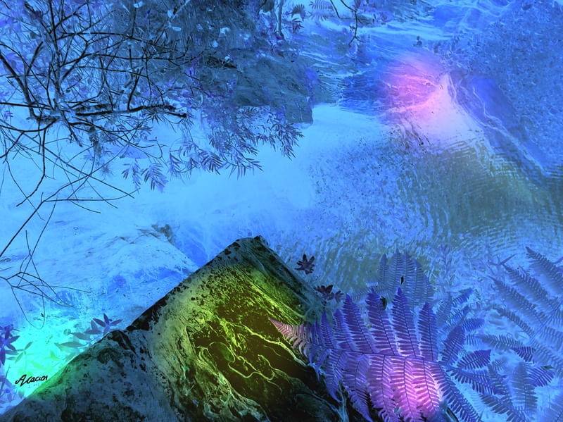 CELESTIAL ORGÂNICO II