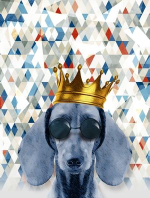 THE KING DOG