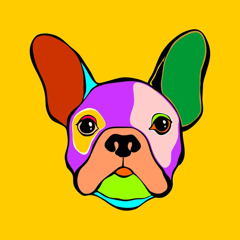 FRENCHIE COLORS - BULLDOG