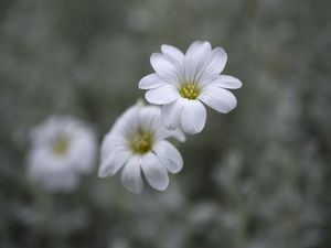 TRESMARIAS