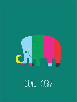 ELEFANTE COLORIDO
