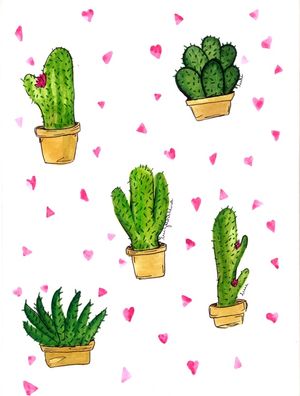 CACTOS FLORIDO