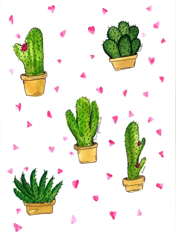 CACTOS FLORIDO