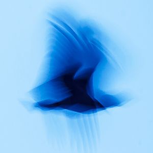 FLUTTER