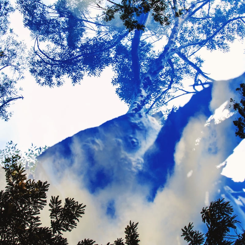THE MEETING, HEAVEN AND EARTH