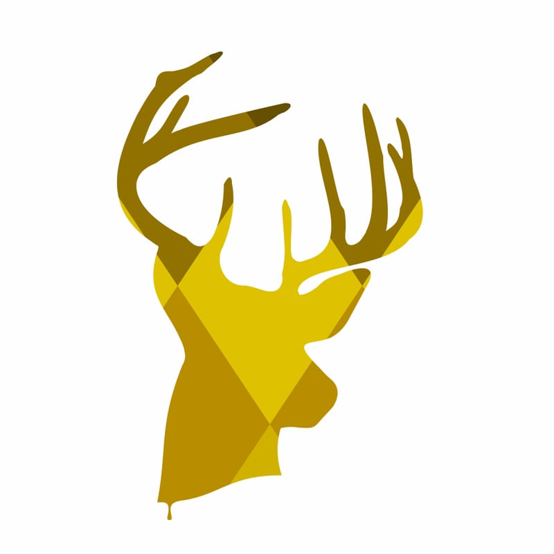 YELLOW DEER COMPOSE