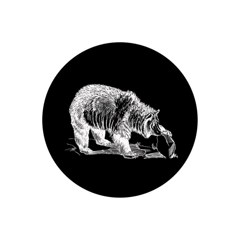 BEAR 1