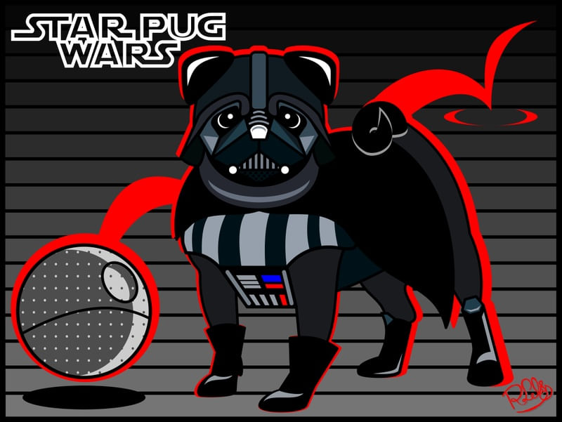 PUG VADER