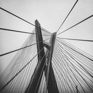 SP - PONTE ESTAIADA