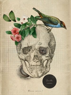 BONES SERIES 3