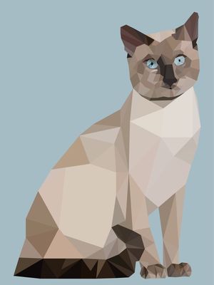O OLHAR DE GATO