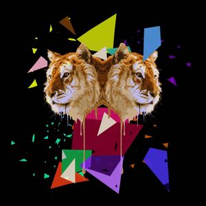 TIGRE ACIDO