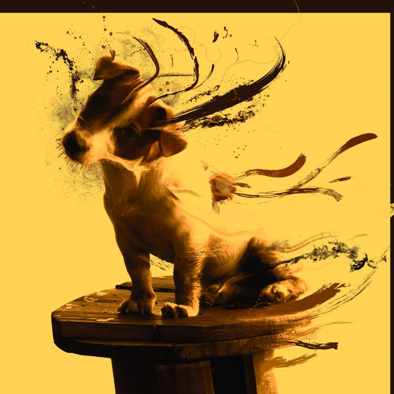 DOG (JACK RUSSELL TERRIER) III