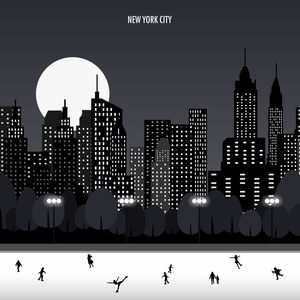 NEW YORK - CENTRAL PARK NIGHT 2