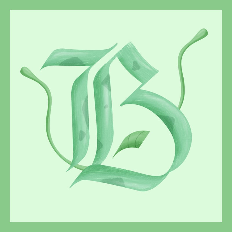 POKÉTYPE BULBASAUR