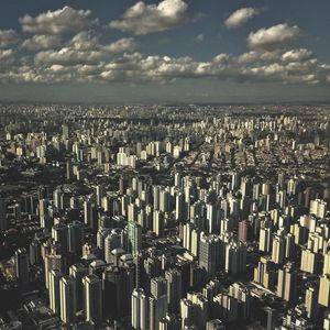 SÃO PAULO É SELVA
