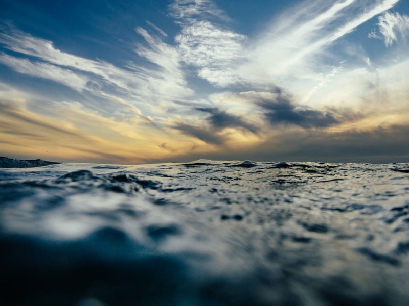 SEA SCAPE