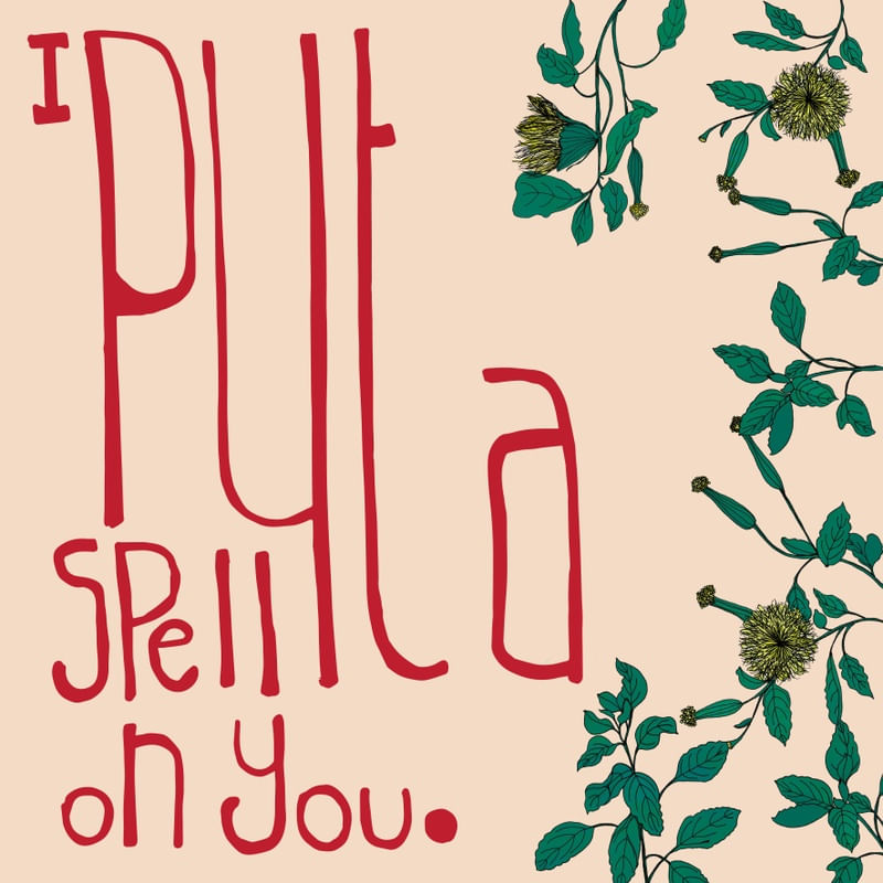 I PUT A SPELL ON YOU II