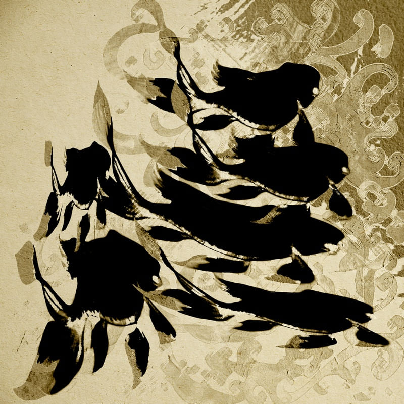 CARDUME NEGRO