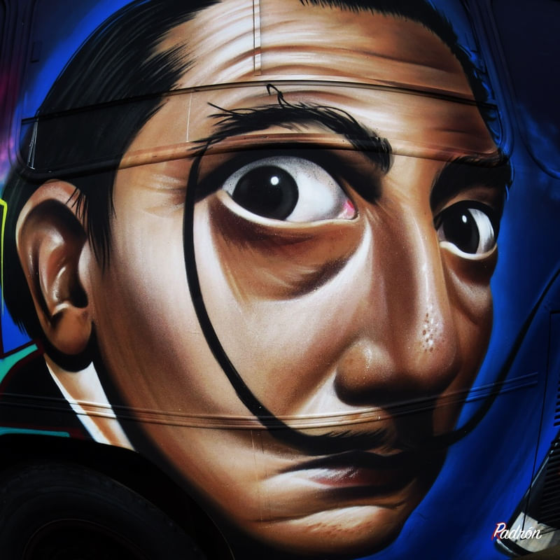 DALI FISHEYE