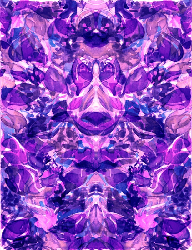 ENCHANTED FOREST 8
