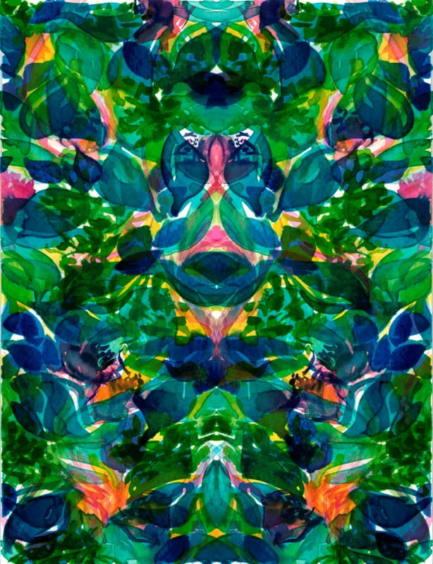 ENCHANTED FOREST 4