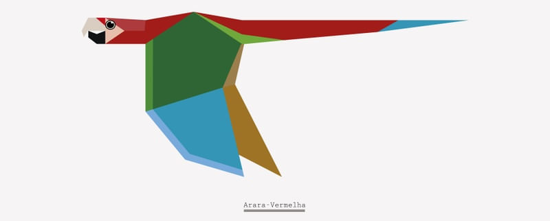 ARARA-VERMELHA
