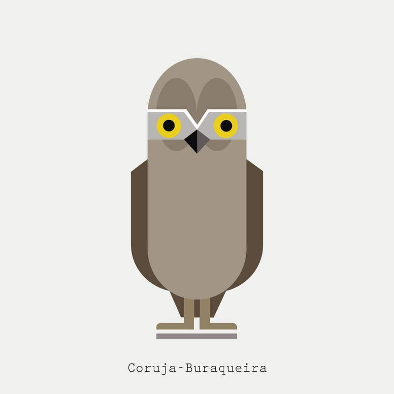 CORUJA-BURAQUEIRA