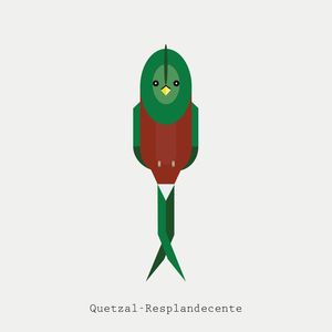 QUETZAL-RESPLANDECENTE