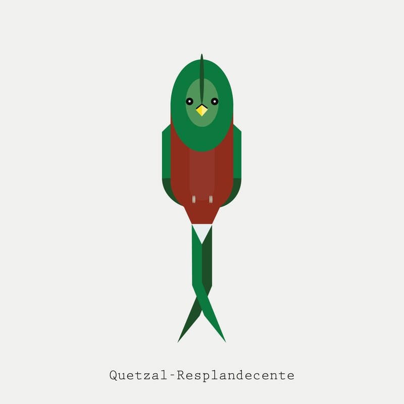 QUETZAL-RESPLANDECENTE